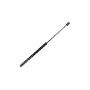 Standard Strut505x279